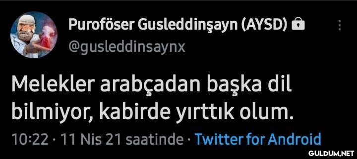 Puroföser Gusleddinşayn...