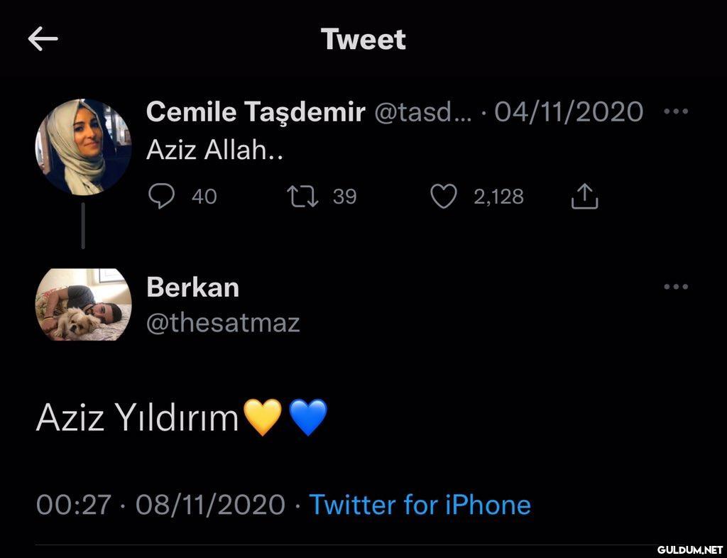 Tweet Cemile Taşdemir...