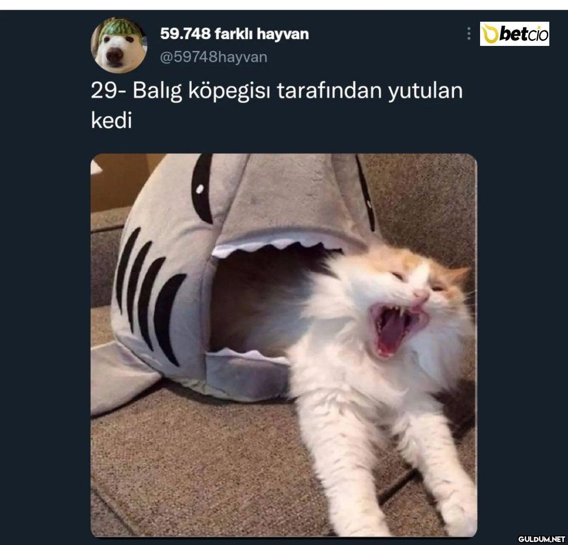 https://t.co/YF0NZsn7h9  ...