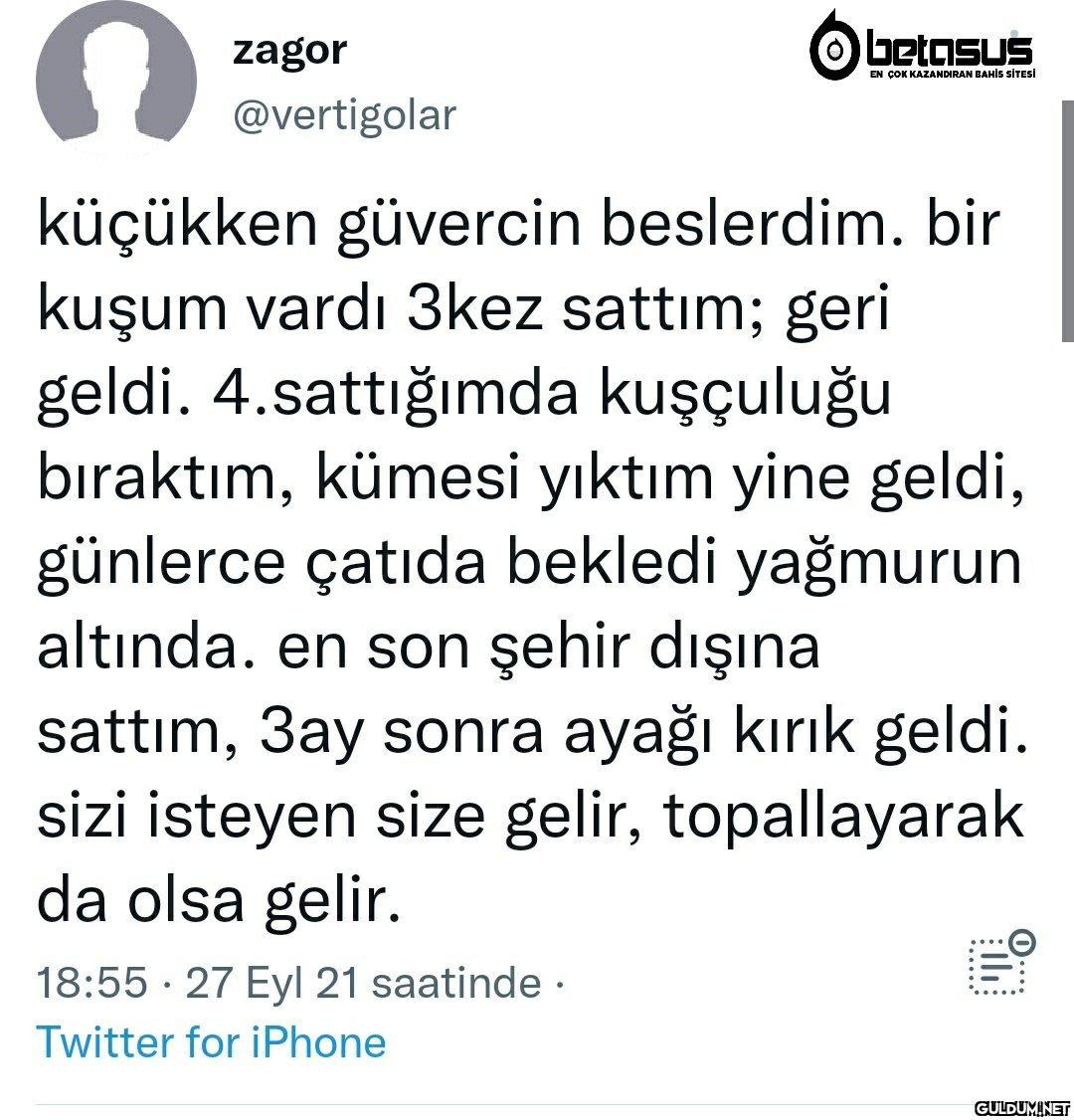 https://t.co/Jtw2umJh37  ...