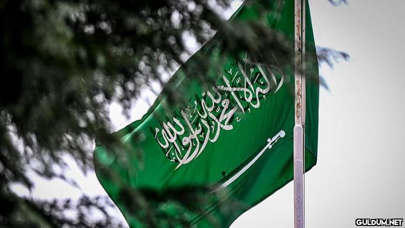 Suudi Arabistan...