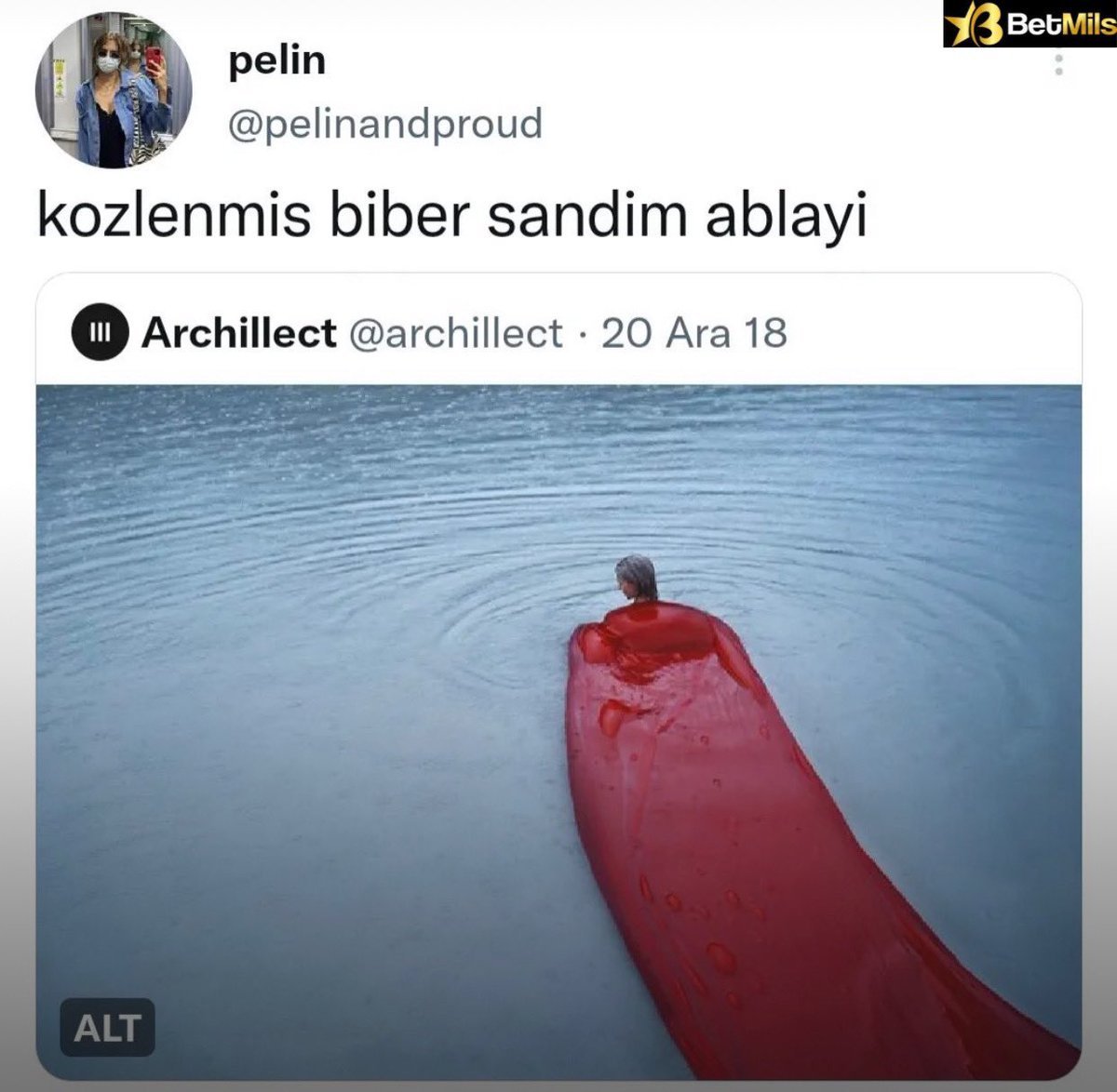 pelin @pelinandproud...