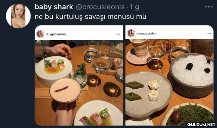 baby shark @crocusleonis....