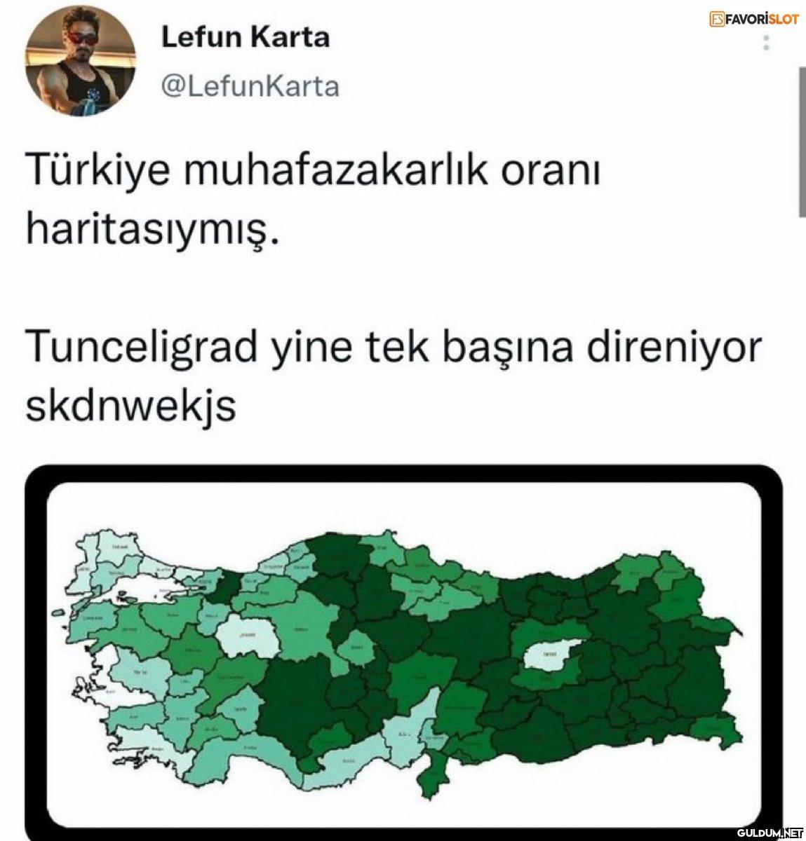 ES FAVORISLOT Lefun Karta...