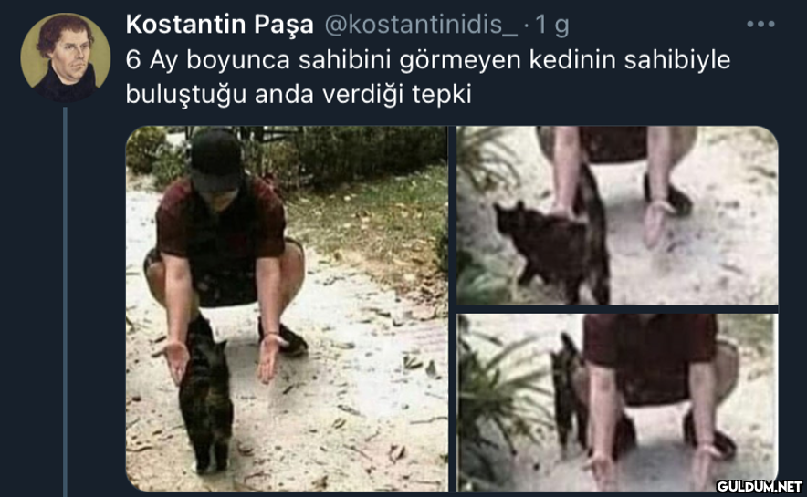 Kostantin Paşa...