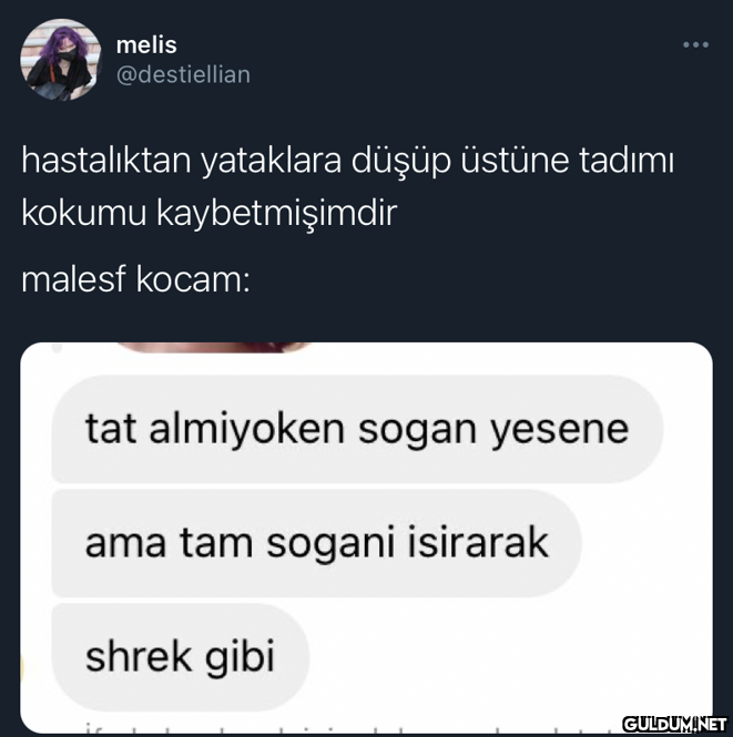 melis @destiellian...