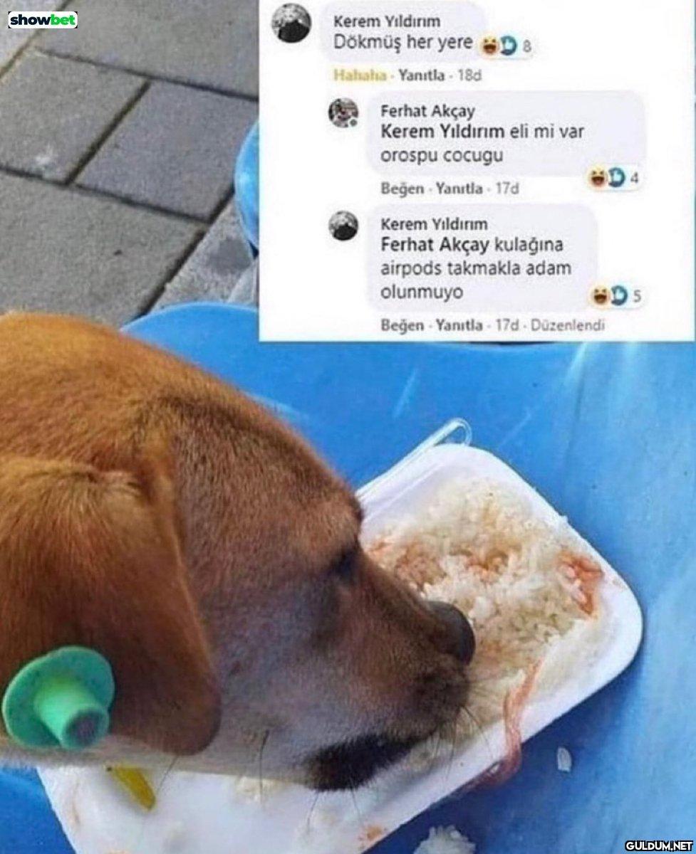 showbet Kerem Yıldırım...