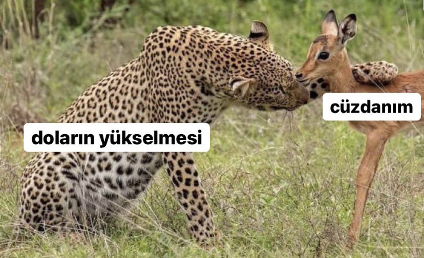 Güncel mood...