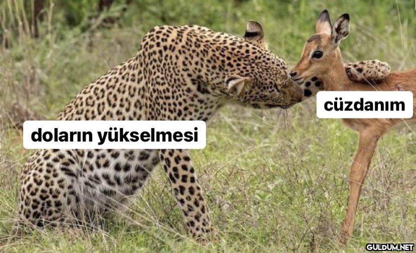Güncel mood...