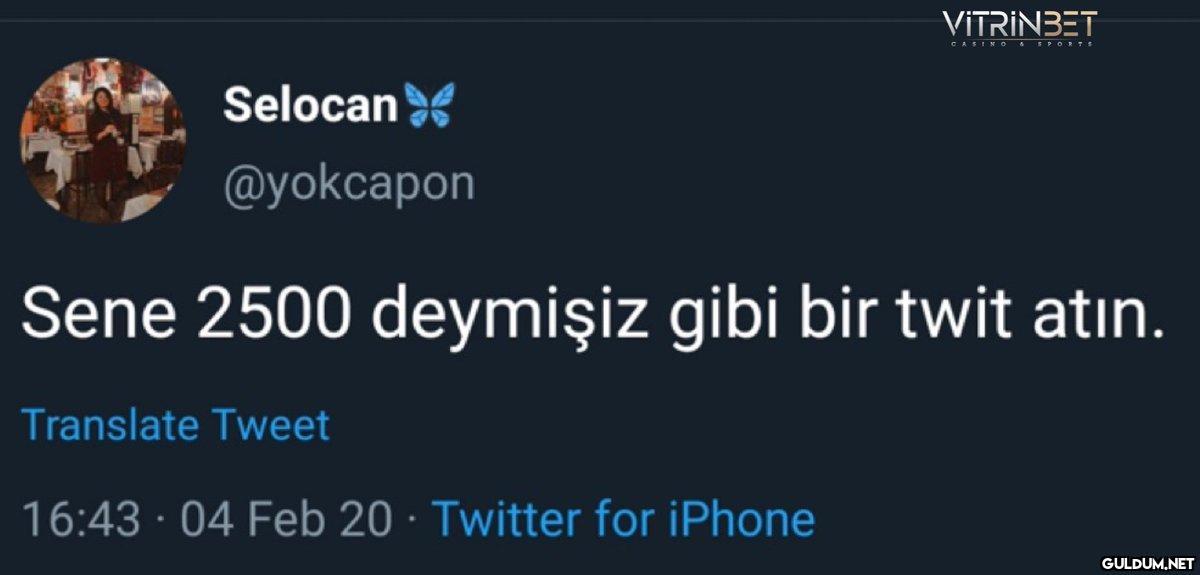 Menşınlayalım...