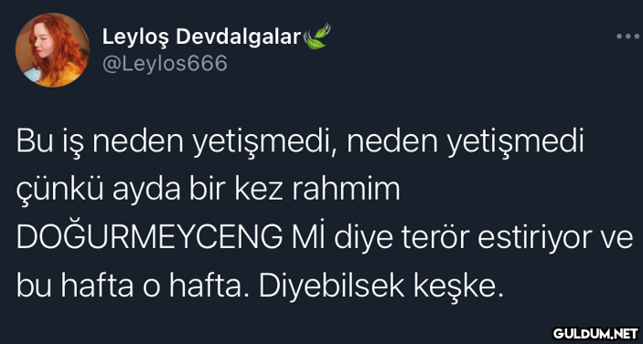 Leyloş Devdalgalar...