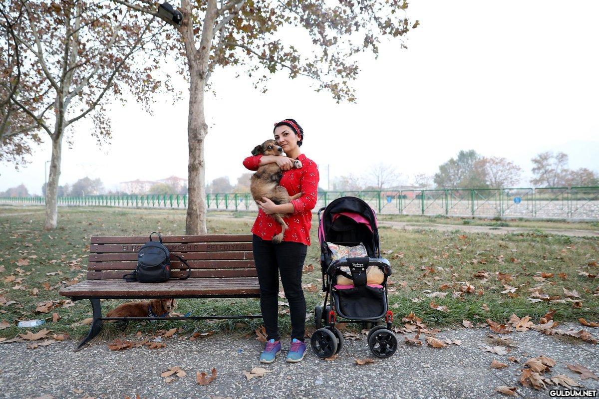 Felçli köpeğini her gün...