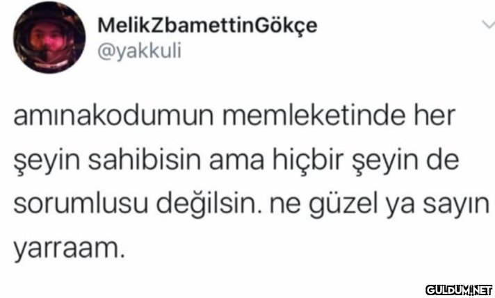 MelikZbamettin Gökçe...