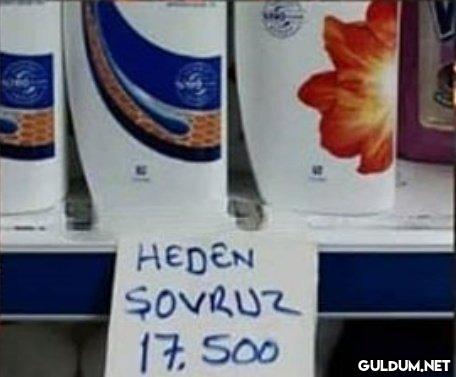 Mahşerin 4 atlısı...