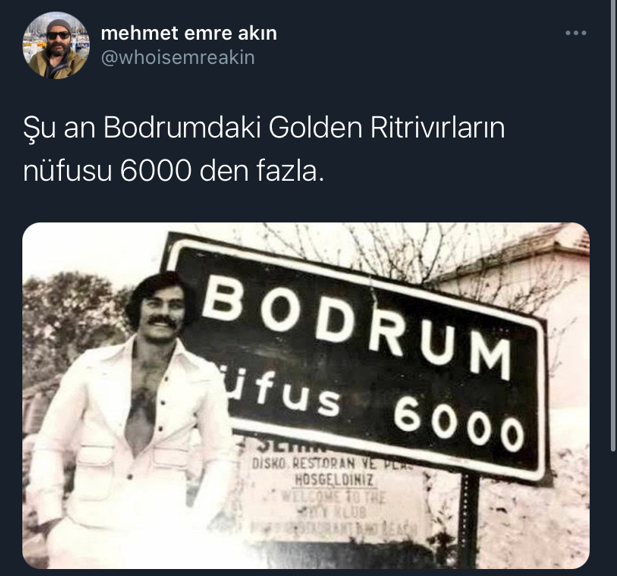 https://t.co/at08uW8zxY  ...