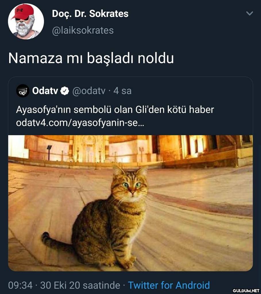Doç. Dr. Sokrates...
