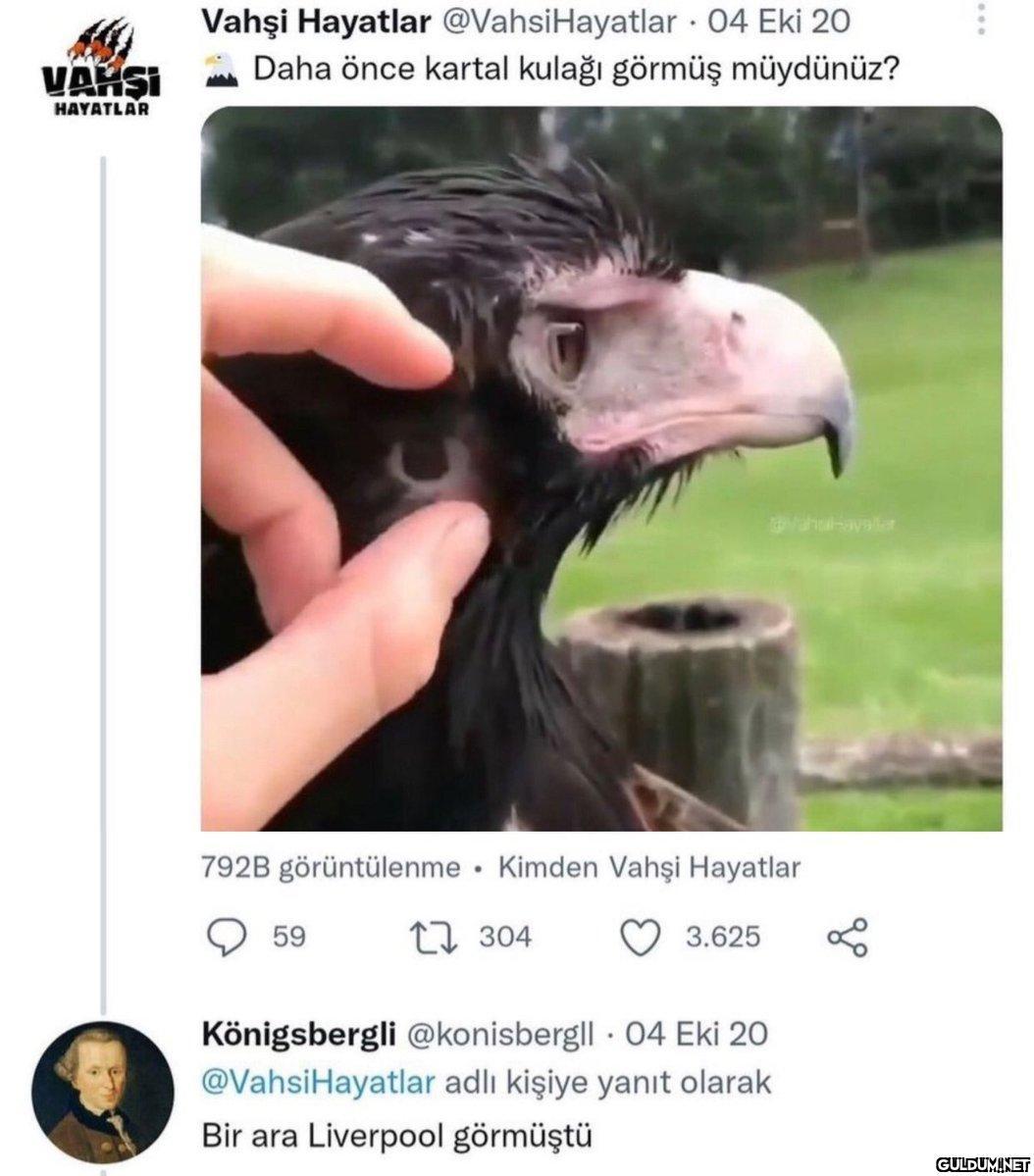 https://t.co/xbDQVB7gul  ...
