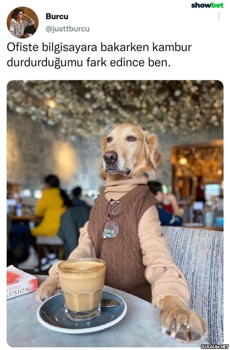 Ne eksik ne fazla...