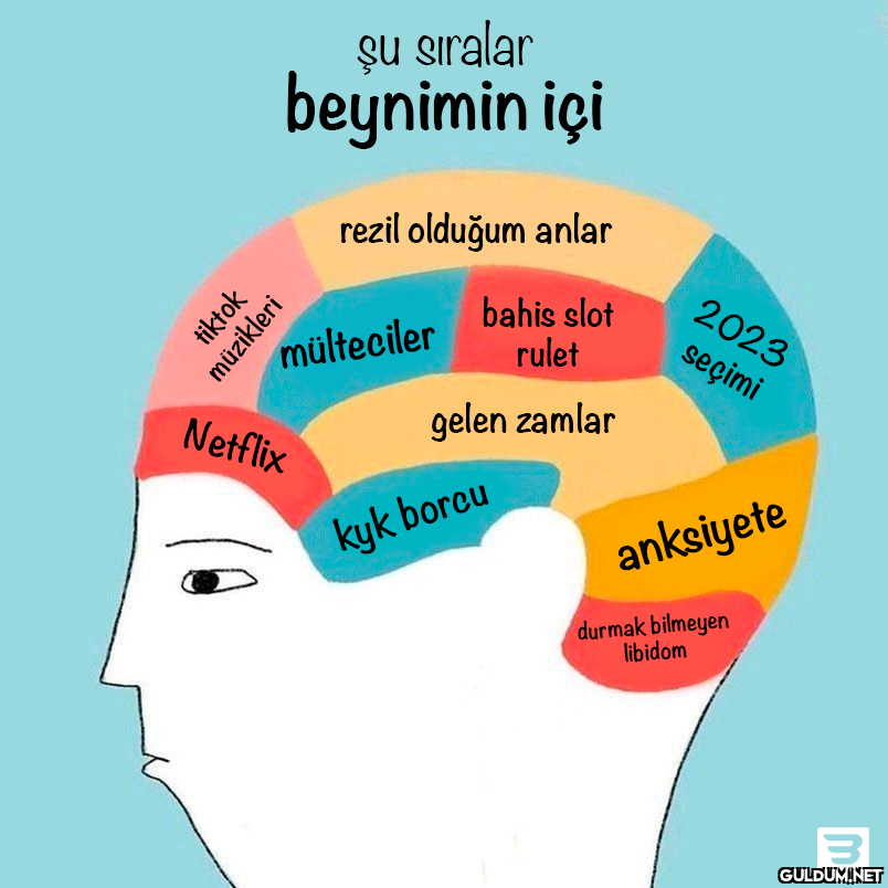 şu sıralar beynimin içi 🧠...