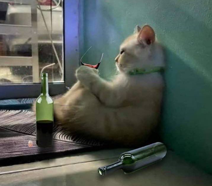 Şöyle bi gece oluyor...