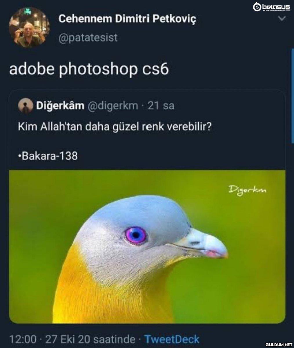 Cehennem Dimitri Petkovic...