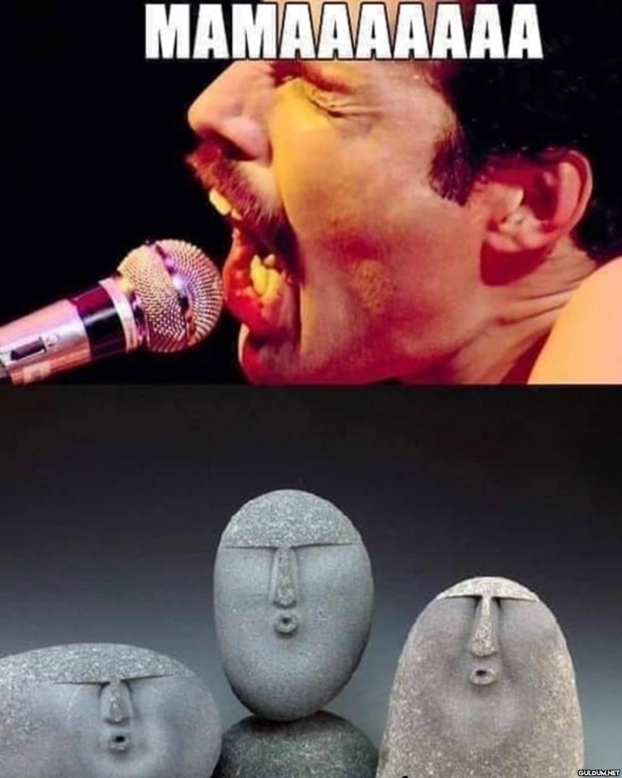 Fotoğrafın sesi var  ...