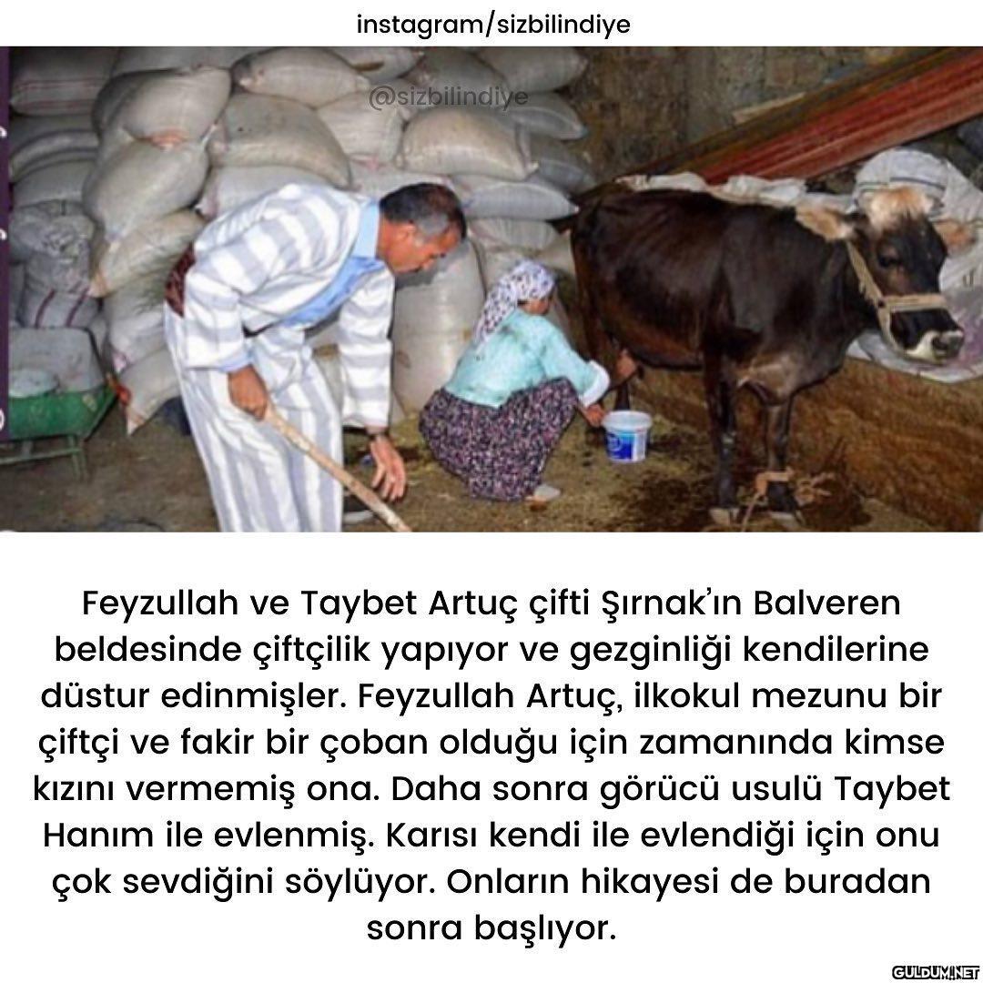 İnanılmaz müthiş bir...