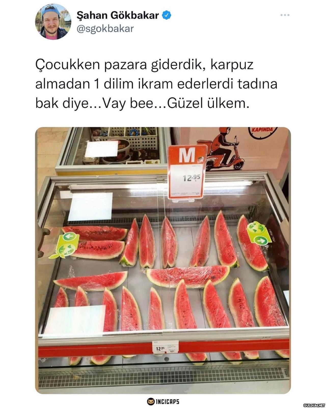 2022 yatırım aracı   Şahan...