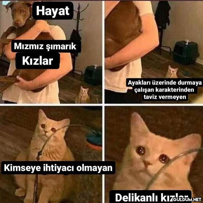 katılıyorum... asko kusko...