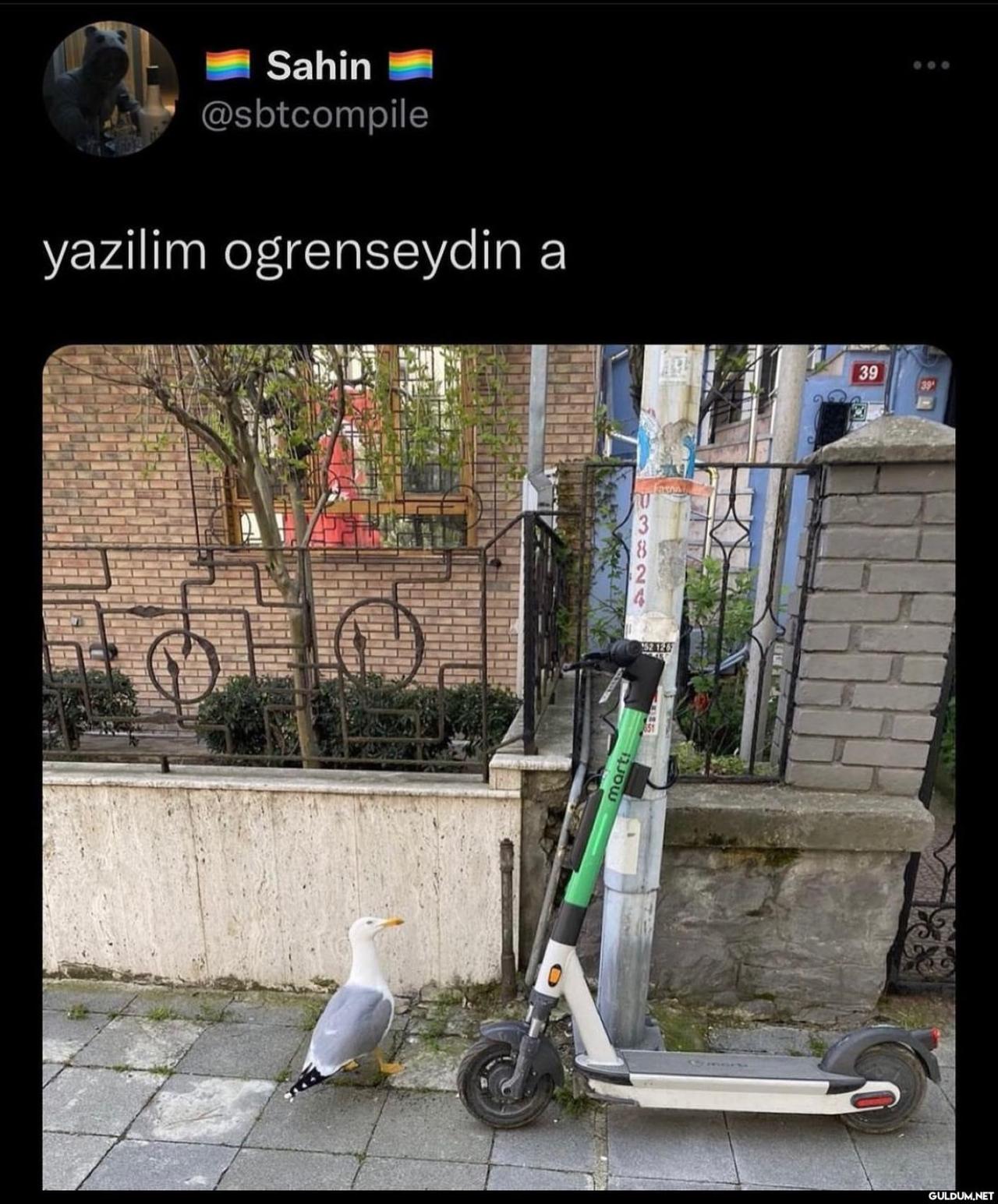 Sdjdjdjsjhdhdhshd   Sahin...