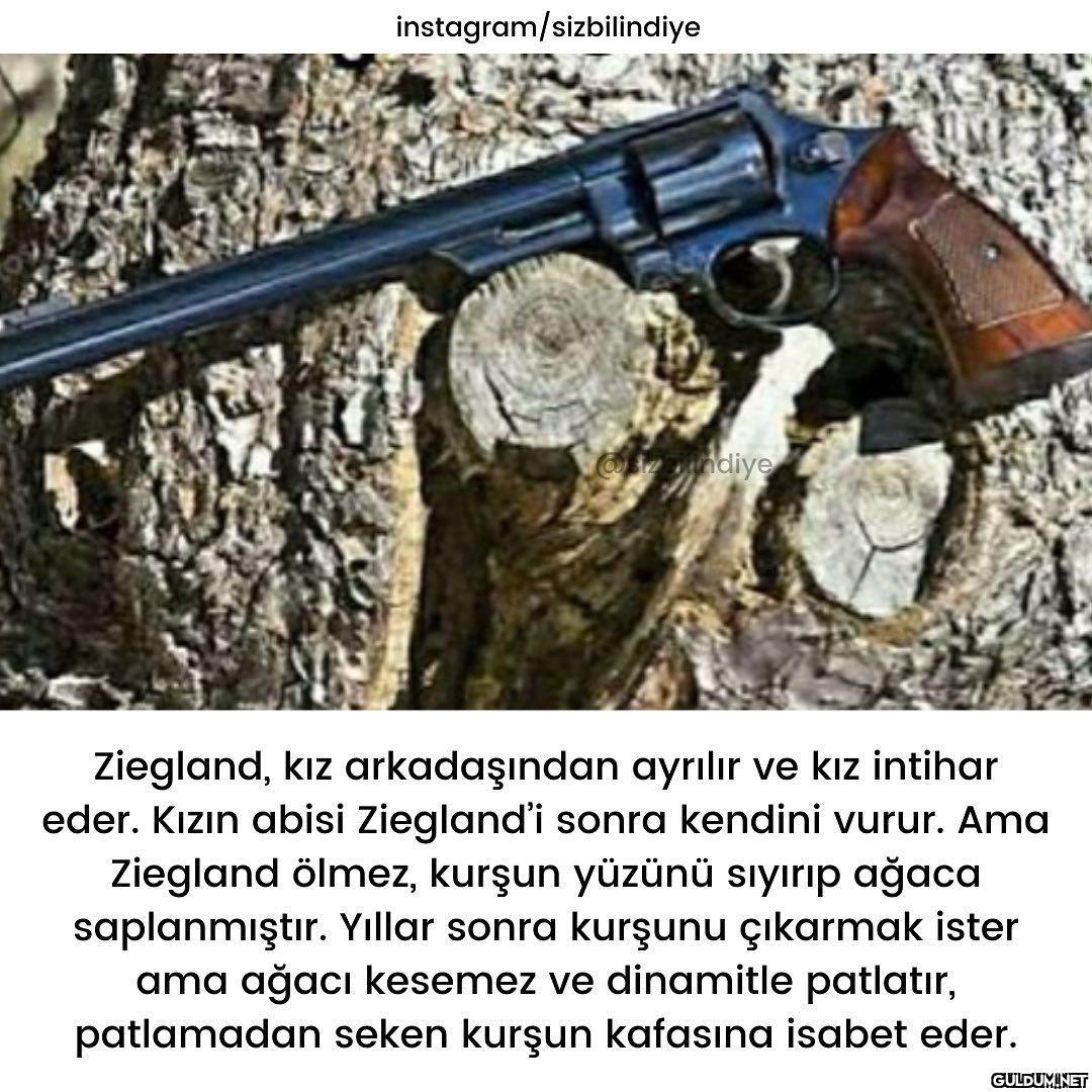 Keyifli okumalar 👋🏻  Daha...