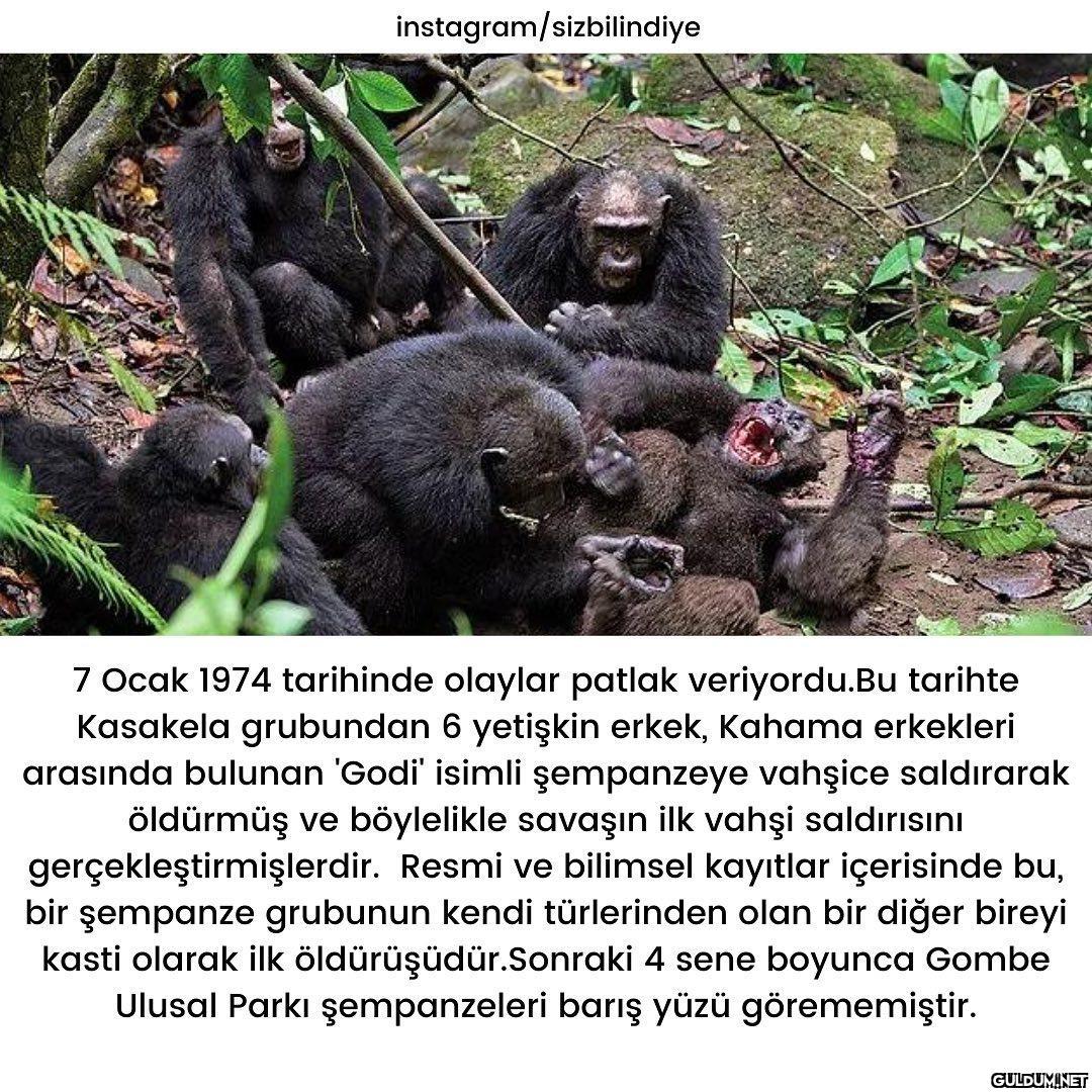 Okuyunca çok şaşırdığım...