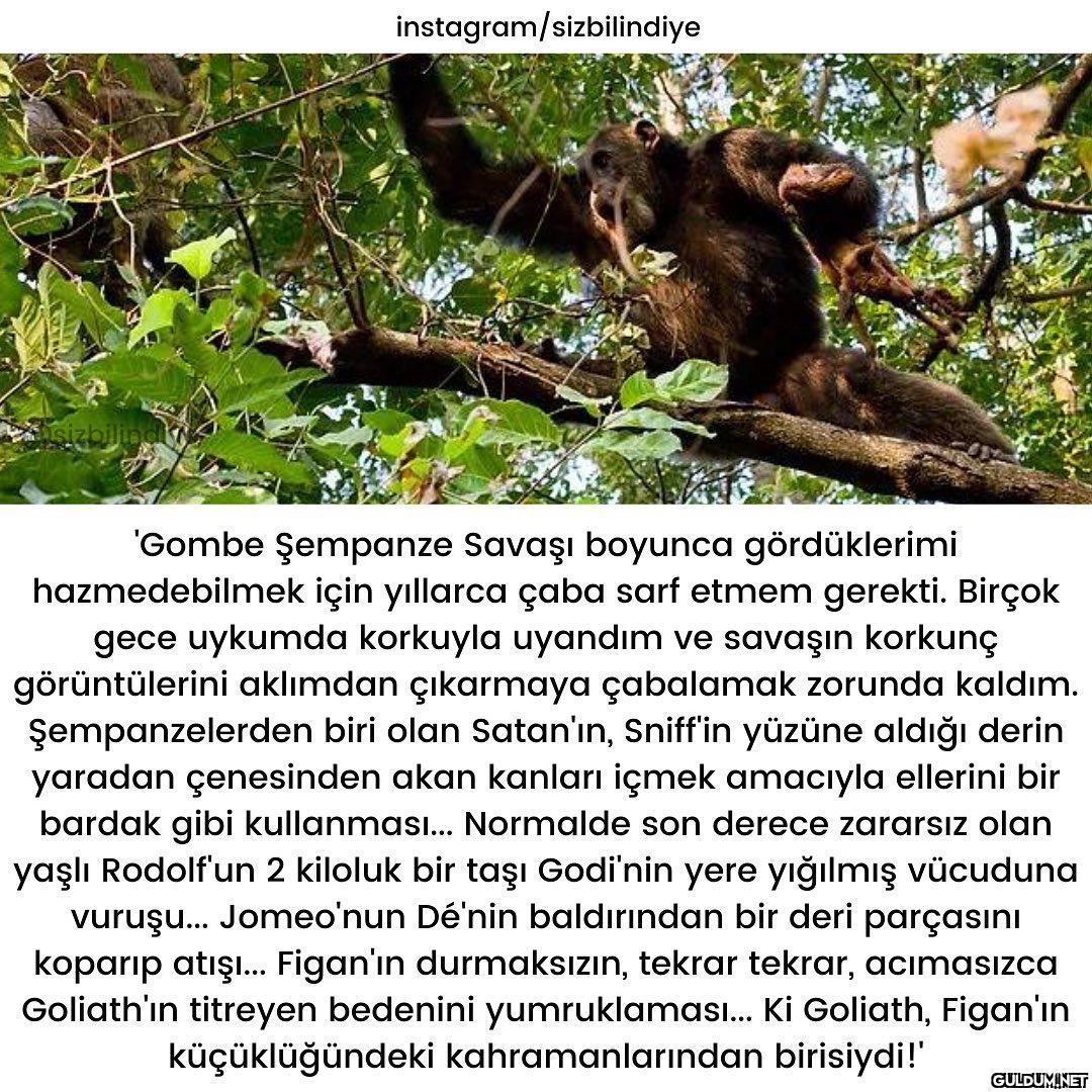 Okuyunca çok şaşırdığım...