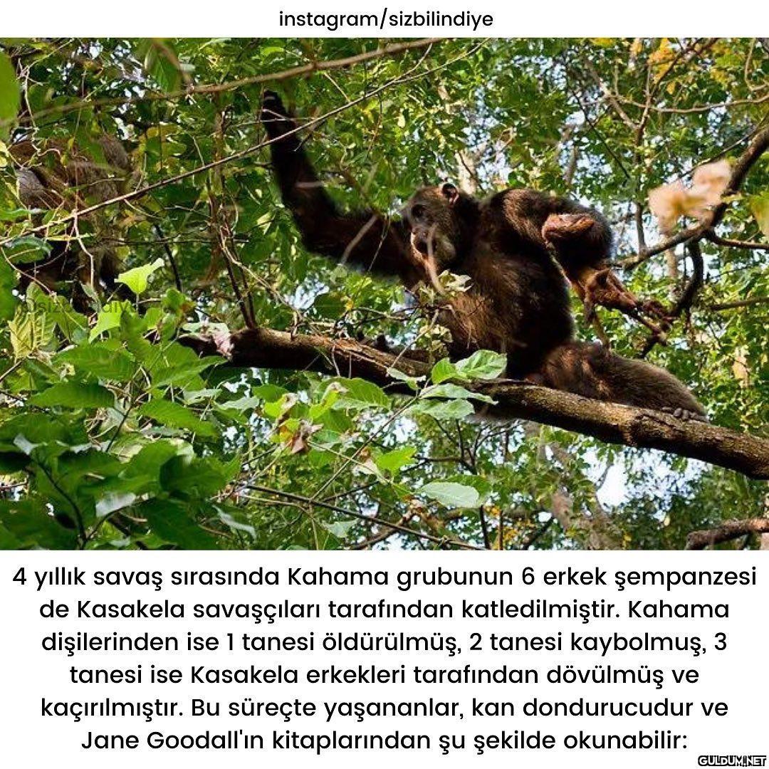 Okuyunca çok şaşırdığım...