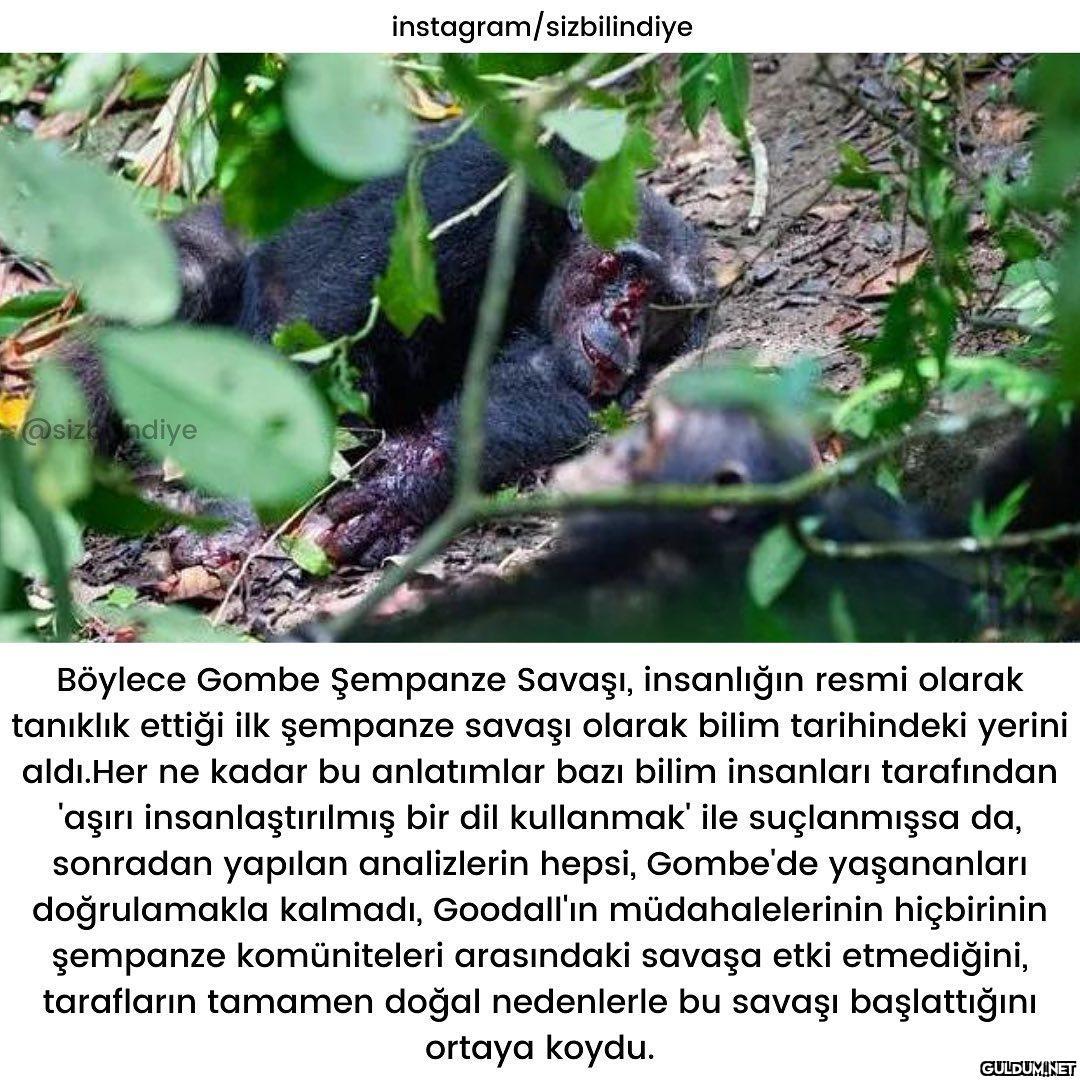 Okuyunca çok şaşırdığım...