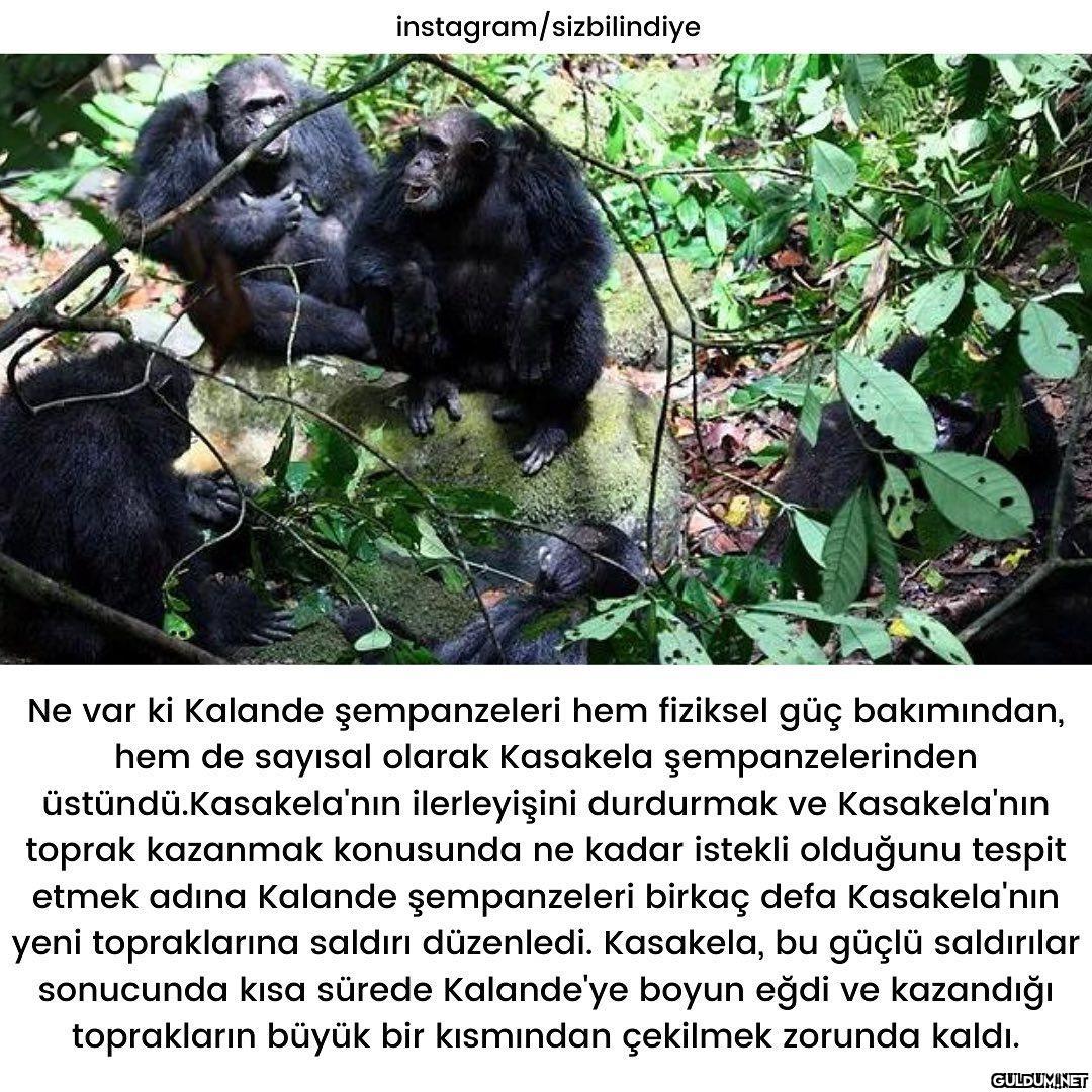 Okuyunca çok şaşırdığım...