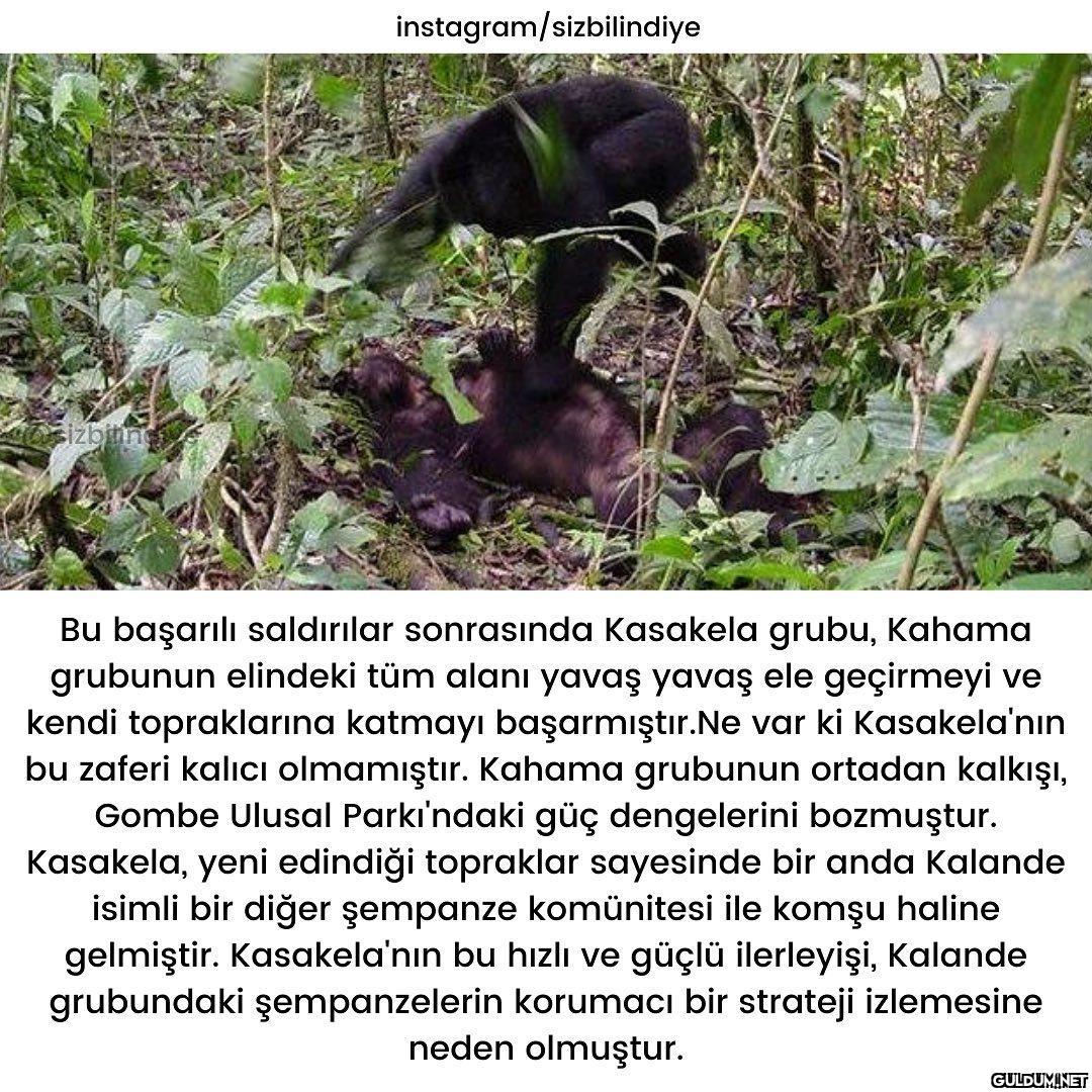 Okuyunca çok şaşırdığım...