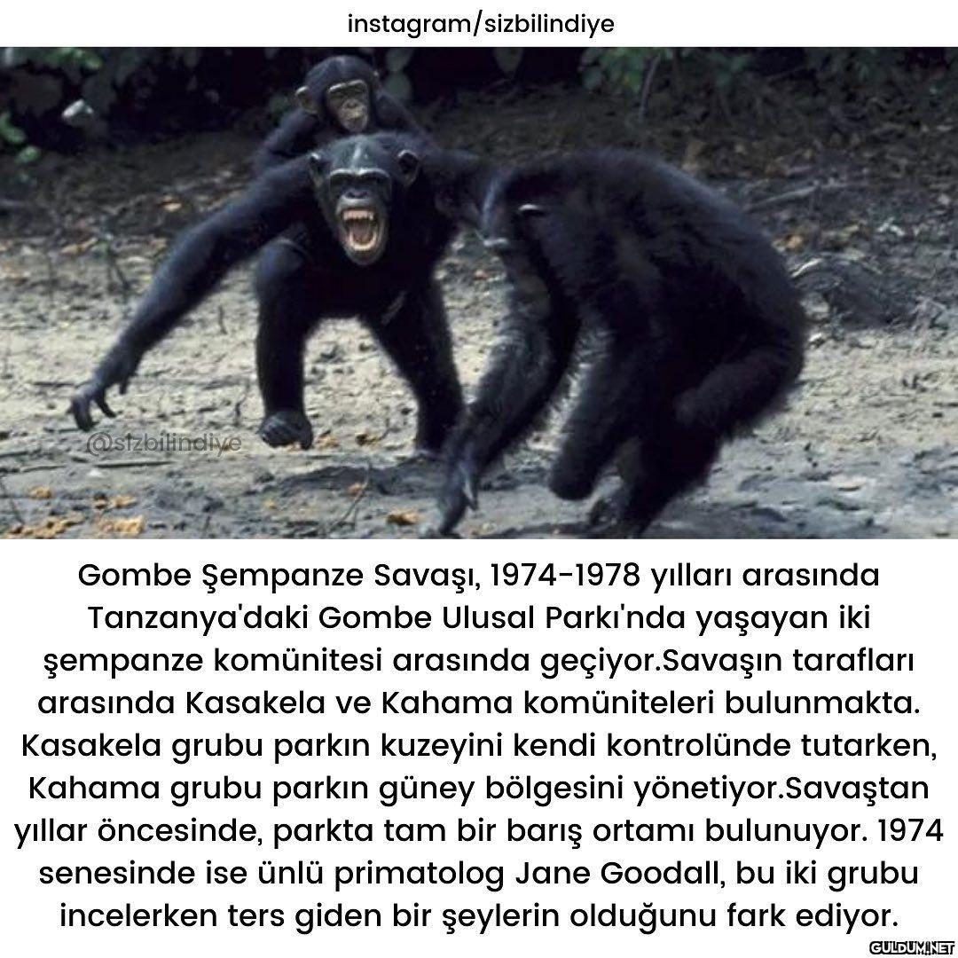 Okuyunca çok şaşırdığım...