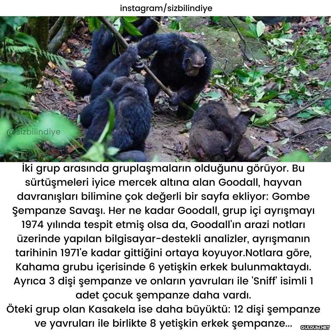 Okuyunca çok şaşırdığım...