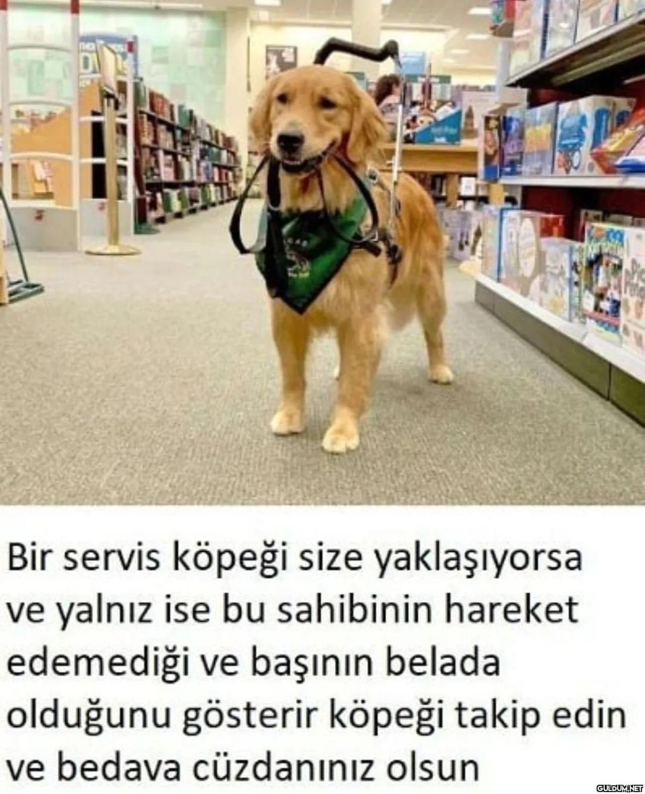 yararlı bilgi   Le Bir...