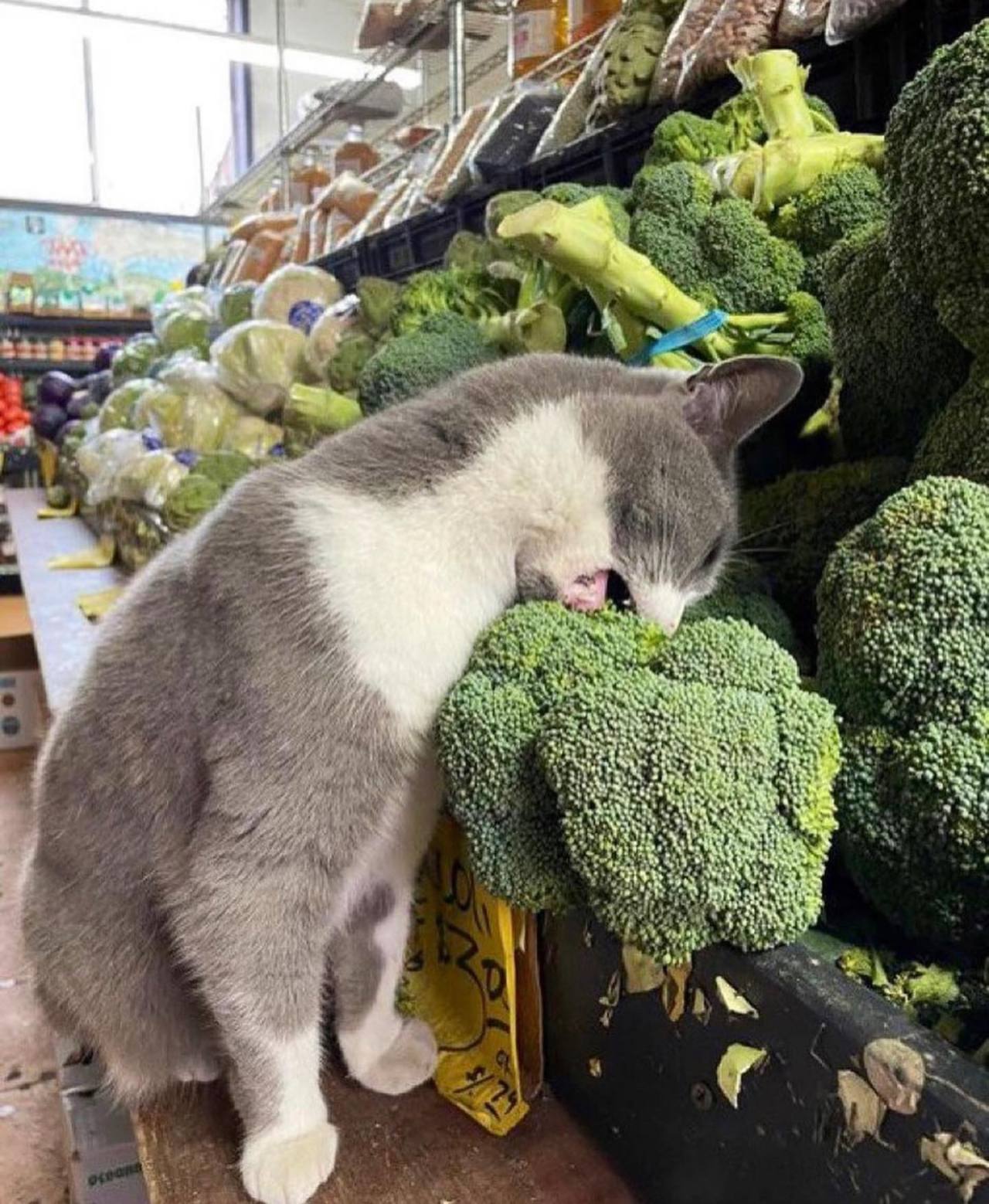 @chaoticfoods 🥦  Kaynak