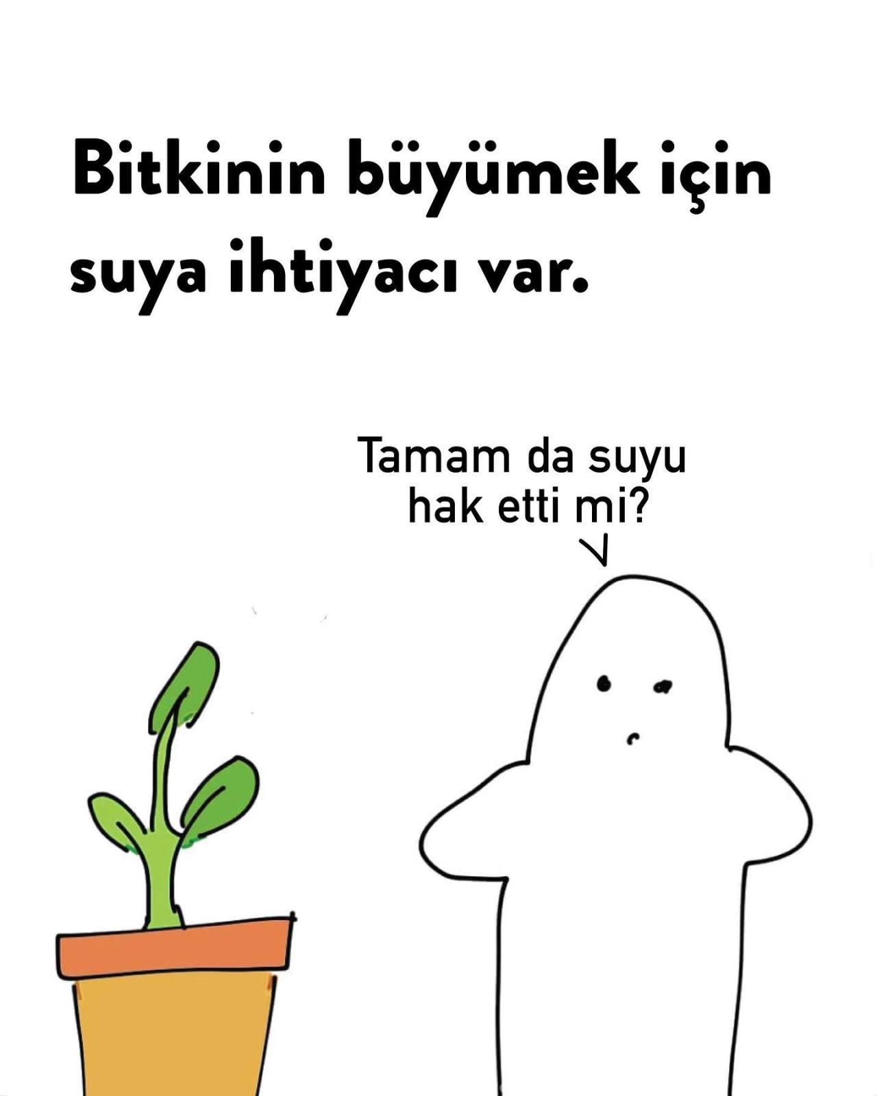 🌱Hatırlatma: kendinizi...