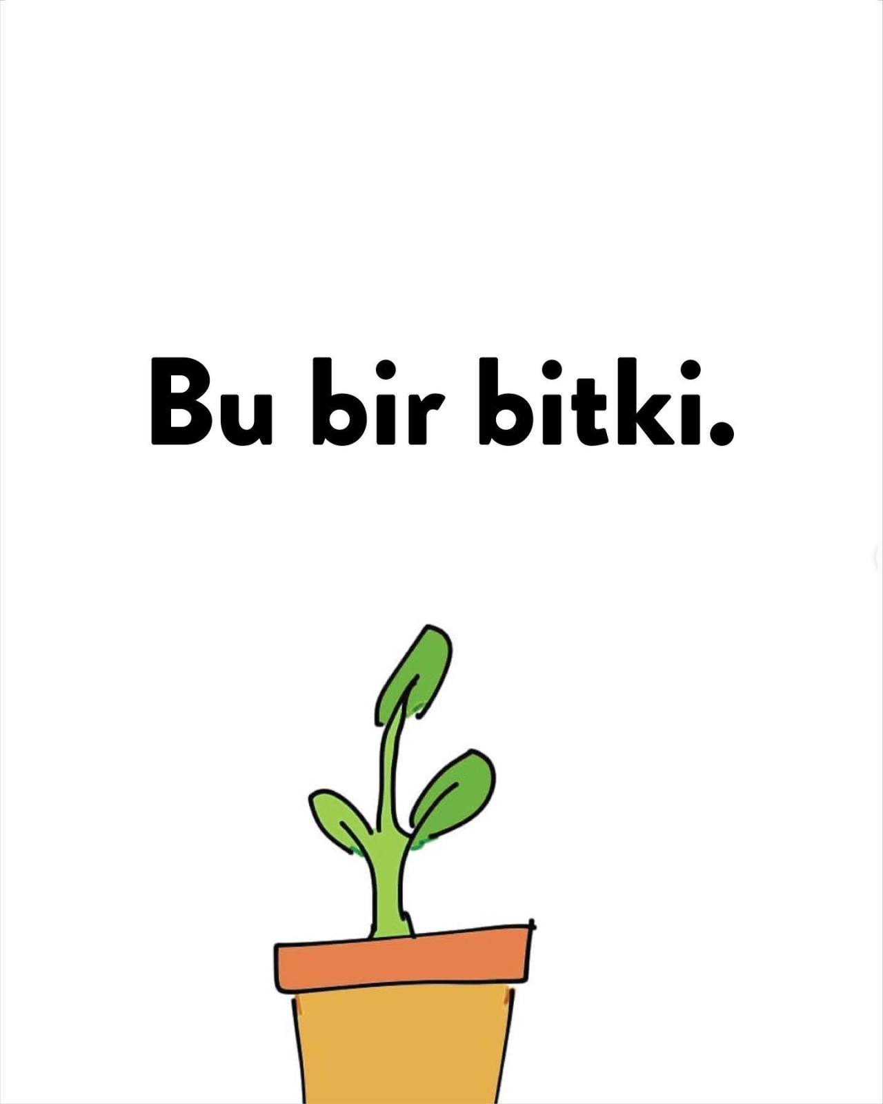 🌱Hatırlatma: kendinizi...