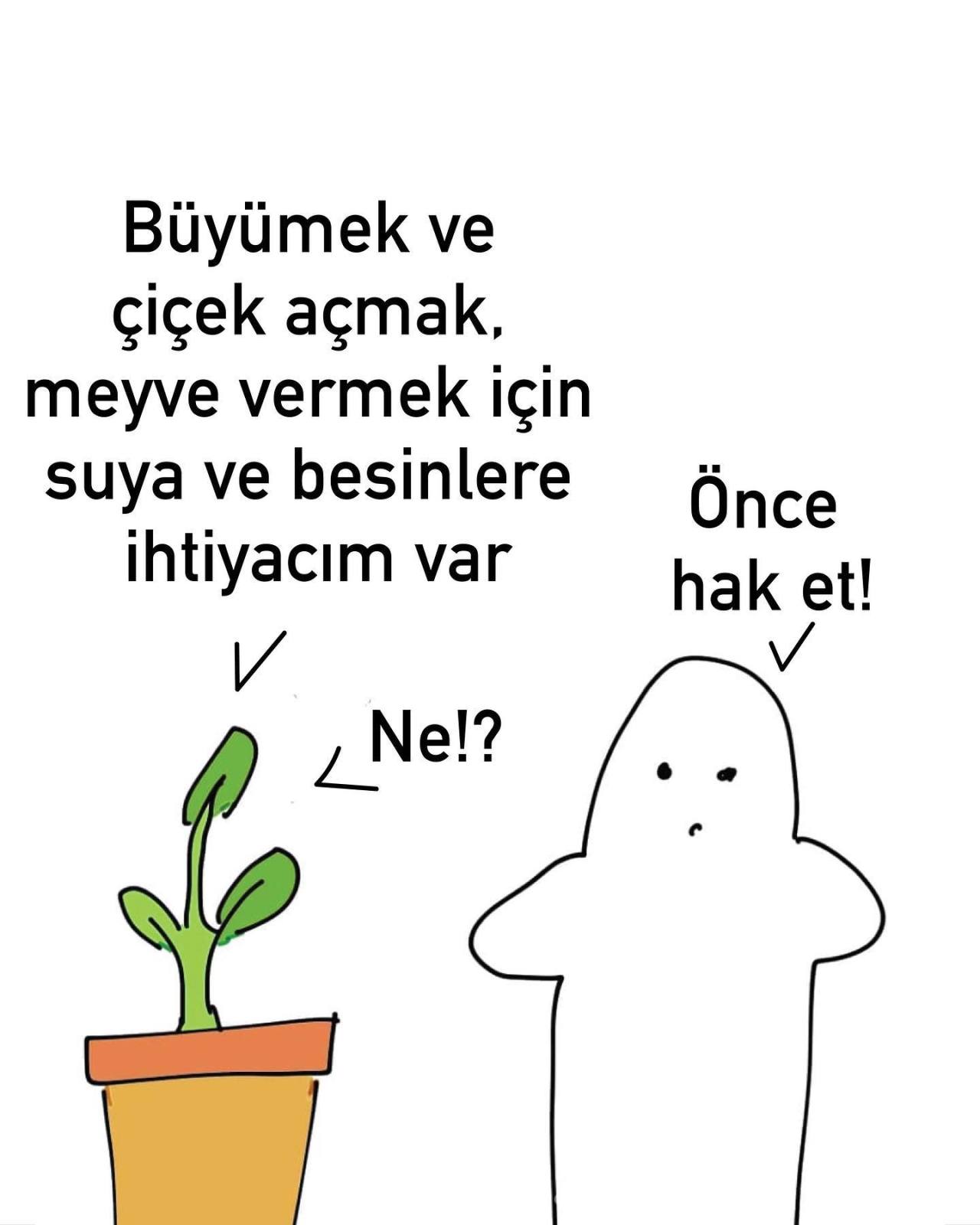 🌱Hatırlatma: kendinizi...