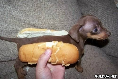 euro 20 olursa hotdog...