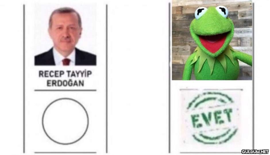 https://t.co/aIMUrxCvaN  ...
