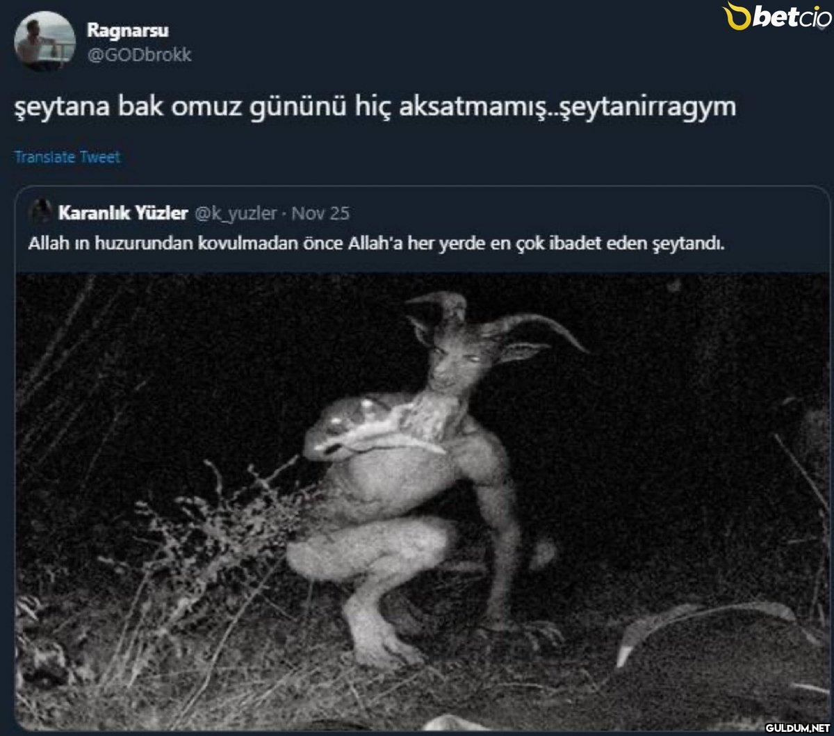 Ragnarsu @GODbrokk şeytana...