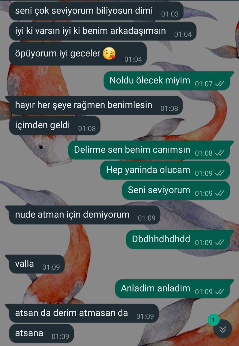 tc erkeği yine her zamanki...