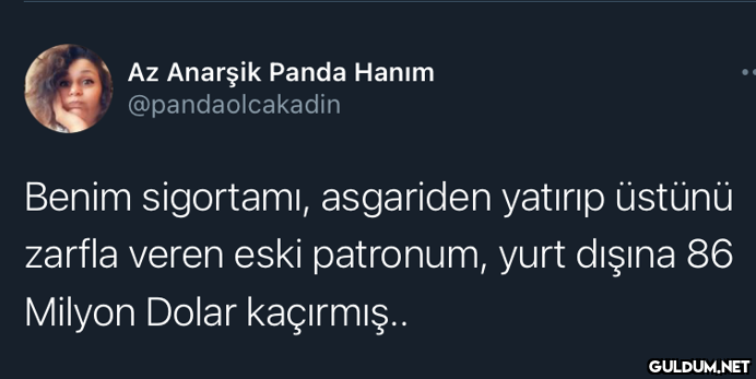 Az Anarşik Panda Hanım...