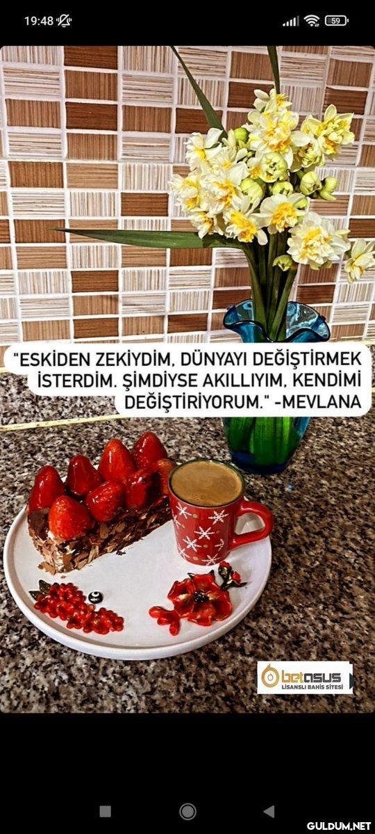 Mevlana: sen gelme...